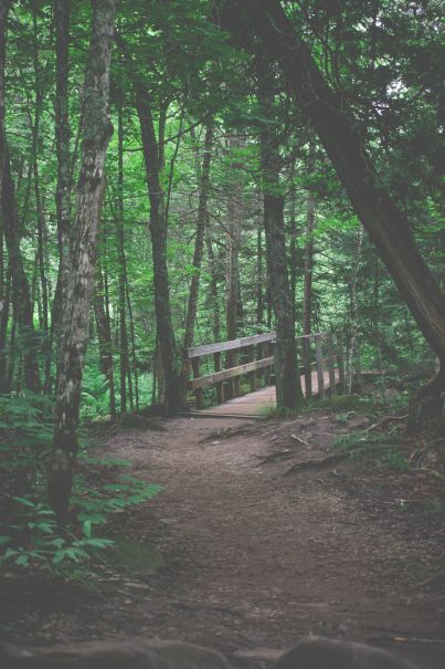 A trail leading to a bridge